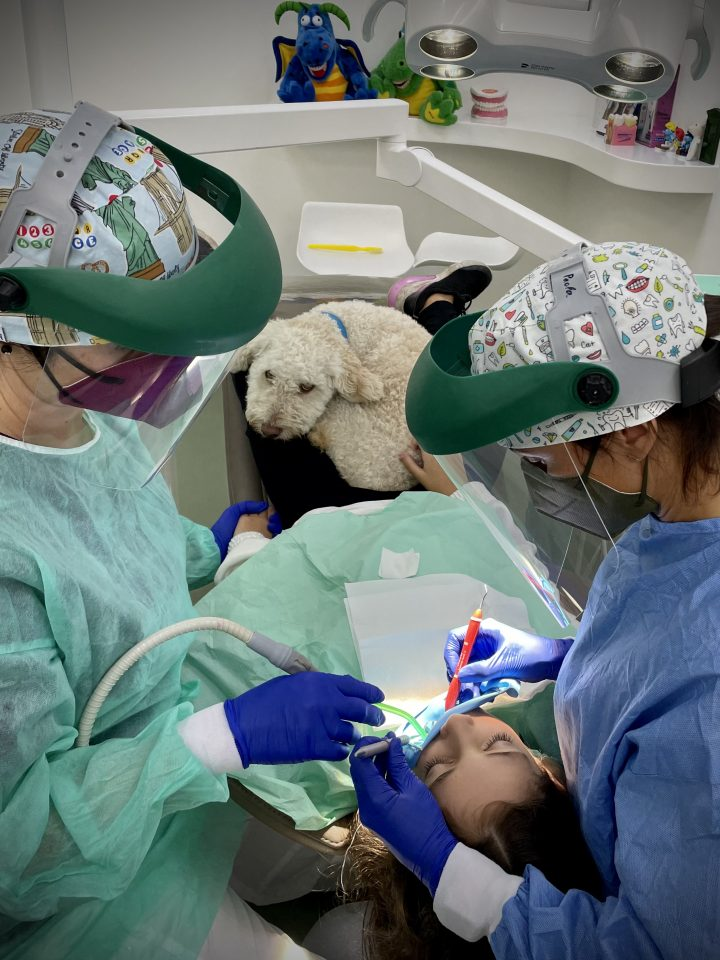 Perro de terapia tumbado junto a un niño durante una revisión dental